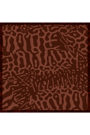 Lenço double face Cachara em cetim de seda | 65x65cm