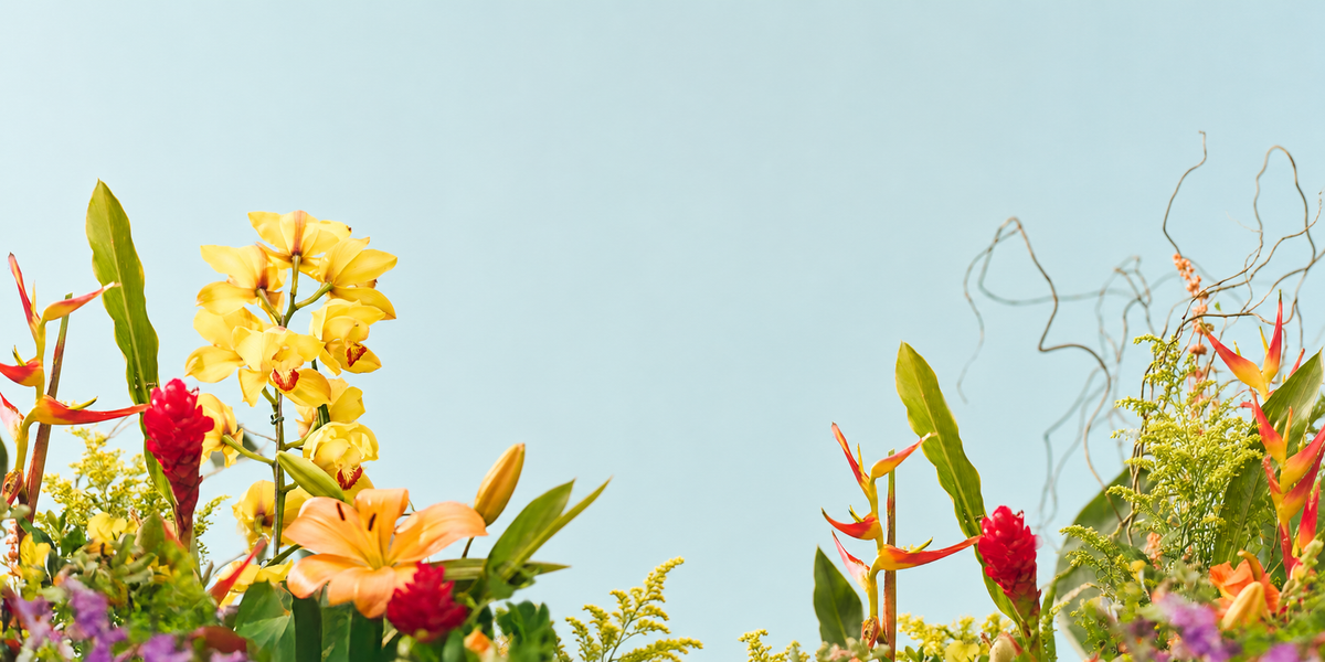Arranjo de flores tropicais sobre ceu azul